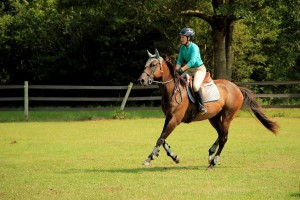 Adult Horseback Riding - Rustic Trail Stable