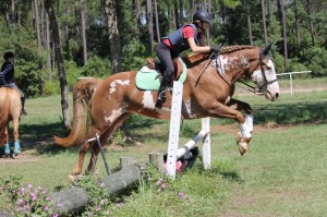 Cross Country Horseback - Rustic Trail Stable