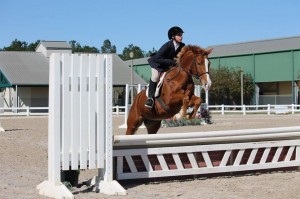 Horseback Riding - Rustic Trail Stable